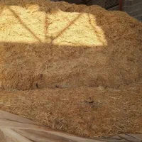 2 تن کاه چاپری