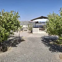 باغ ۷۰۰ متری سوران ناظریه حاشیه مترو گلبهار|فروش زمین و ملک کلنگی|مشهد, میان ولایت|دیوار