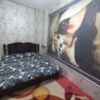 نقاشی  کاغذدیواری