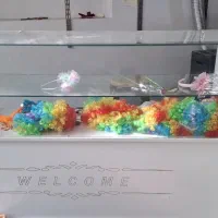 پاچال ویترین