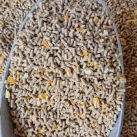 دانه پرسی خوراک مرغداری کیلوی ۵۸ تومن