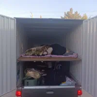 پراید وانت 151|خودرو سواری و وانت|باقرشهر, |دیوار