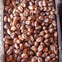 خرما گنطار|خوردنی و آشامیدنی|اهواز, منازل کارون|دیوار