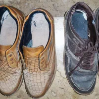 دو جفت کفش رایگان