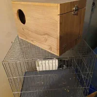 لانه وقفس پرنده نو