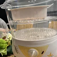 بخار پز black &decker