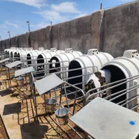 تهاتر ملک کارخانه دام دامداری چاه کشاورزی دام|فروش دفتر صنعتی، کشاورزی، تجاری|تهران, افسریه شمالی|دیوار