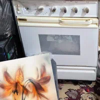 فرگاز