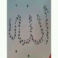 دعا نویس ماهر میخوام