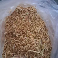 خریدار گندم وجو وکشمش