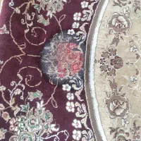 دوتخته فرش دوازده متری|فرش|مرند, |دیوار