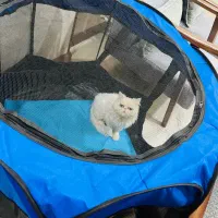 پارک برزنتی سگ و گربه سایز بزرگ