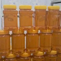 عسل طبیعی روس کرده مخصوص