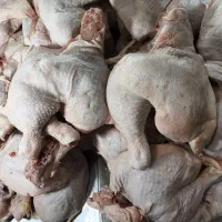 ران مرغ با کمر|خوردنی و آشامیدنی|تهران, شادآباد|دیوار