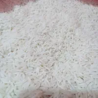 برنج هاشمی پارساله