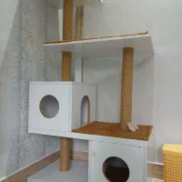 لوازم گربه
