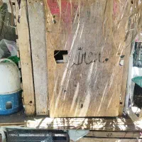 صندق کبوتری چوپ روس