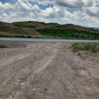 باغ میوه به محلی
