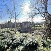 زمین با تک برگ سند با کاربری مسکونی با امتیاز برق