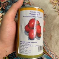 بذر گوجه ۵۰۰۰ تایی گوجه سفت اسم tomateh