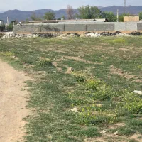 زمین جهت ساخت باغچه گلخانه و سوله