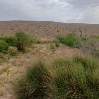 زمین باغ
