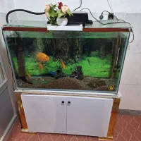 اکواریوم و تمامی وسایل