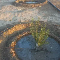 باغشهری|فروش زمین و ملک کلنگی|فسا, |دیوار