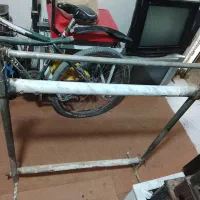 دار قالی سالم