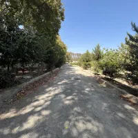 ۲۶۰۰متر زمین/سند تک‌برگ/چهاردیواری