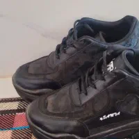 کفش لژدار|کیف، کفش، کمربند|یاسوج, |دیوار