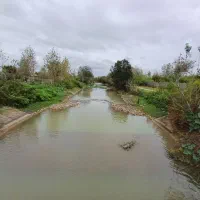 زمین-210-متری-داخل-طرح-هادی-مالک