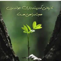 راهنمایی کنید