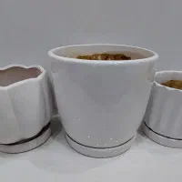 گلدان