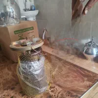 فروش گازهای پیک نیک در وزن های مختلف