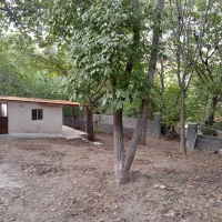 فروشنده صددرصد ۱۰۰|فروش زمین و ملک کلنگی|لواسان, |دیوار