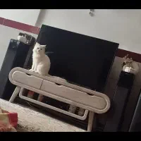 میز تلوزیون سالم بدون شکستگی فروش فوری