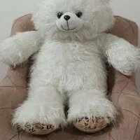 خرس|اسباب‌‌بازی|اردبیل, |دیوار