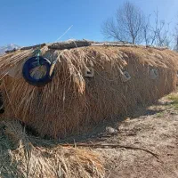 گاوگوسفند|لوازم جانبی حیوانات|سیلوانه, |دیوار