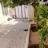 خانه فروشی در مهدی ابادکتس بس|فروش خانه و ویلا|شیراز, شهرک مهدی‌آباد|دیوار