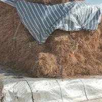 فروش علف و یونجه