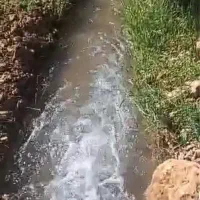 باغچه-هماشهر-سپیدان