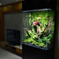 تراریوم پالوداریوم موساریوم عمده|گل و گیاه طبیعی|اصفهان, آبشار|دیوار