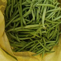 فروش لوبیا سبز و فلفل خوراکی