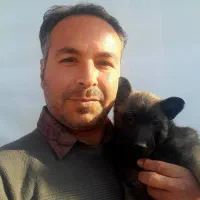 توله سگ مالینویز