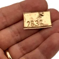 طلای آب شده، شمش