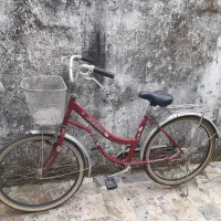 دوچرخه قناری