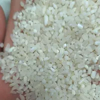 برنج نیم دانه شیرودی شمال