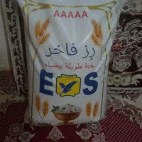 برنج رزفاخر کاشت