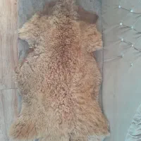 زیر انداز پشمی *تبریز|روفرشی|تهران, جهاد|دیوار